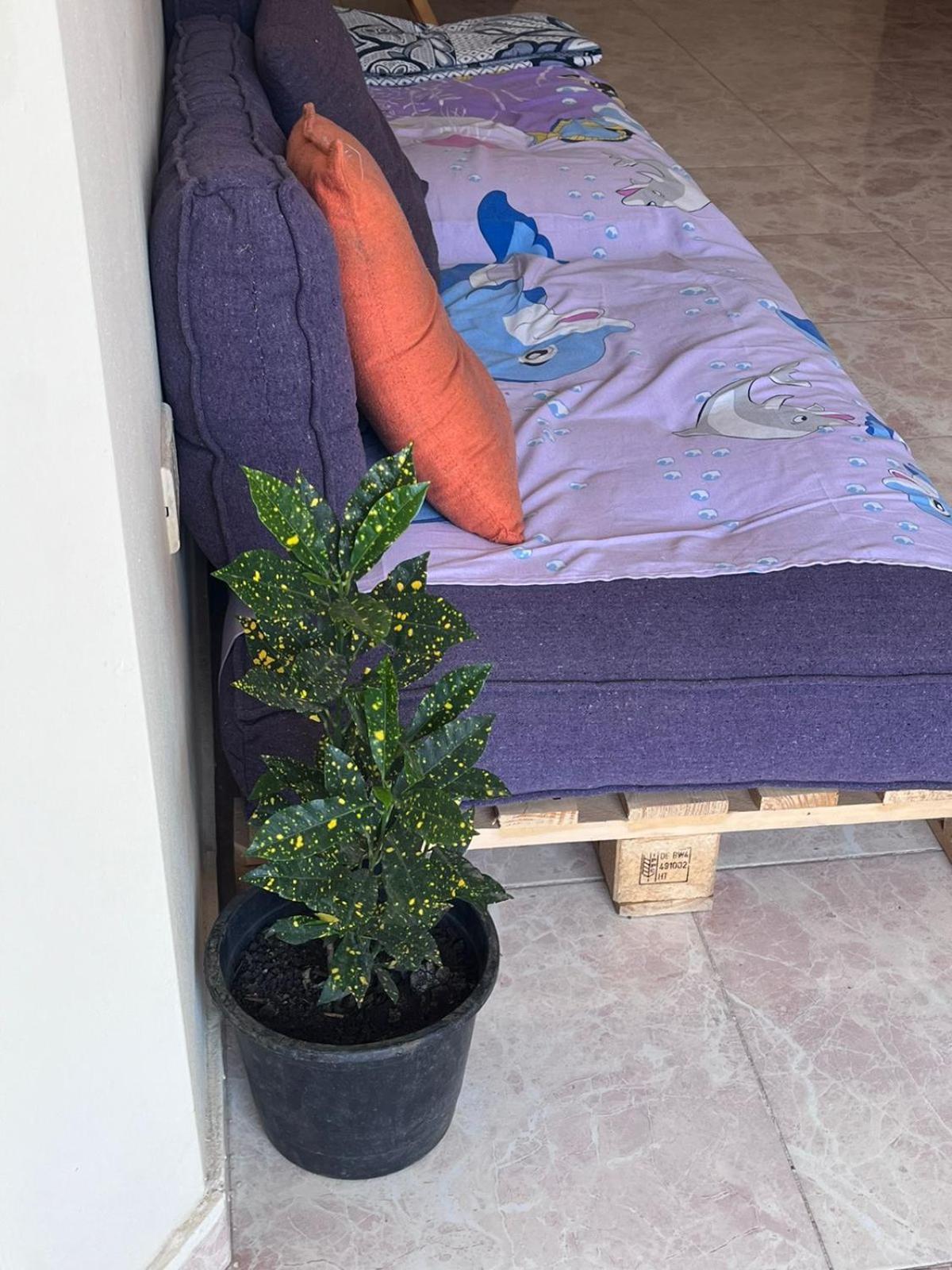 Bed In Raheem Guest House More Than Accommodation Каир Экстерьер фото